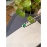 0.68 Ct. Emerald from Colombia Life Style