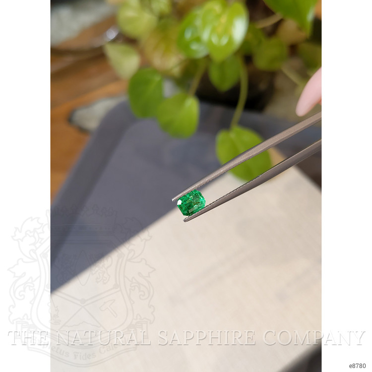 0.68 Ct. Emerald from Colombia