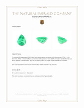 0.81 Ct. Emerald from Colombia Appraisal