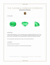 1.19 Ct. Emerald from Colombia Appraisal
