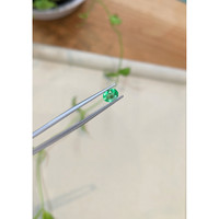 0.68 Ct. Emerald from Colombia Life Style
