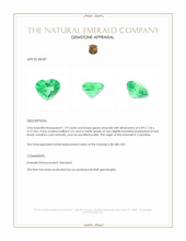 1.19 Ct. Emerald from Colombia Appraisal
