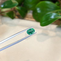 1.04 Ct. Emerald from Zambia Life Style