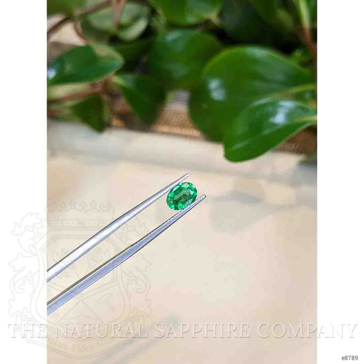 1.04 Ct. Emerald from Zambia