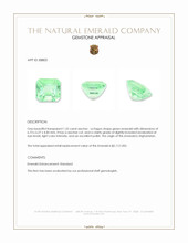 1.32 Ct. Emerald from Afghanistan Appraisal
