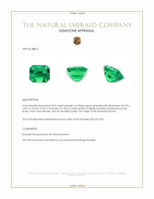 0.83 Ct. Emerald from Russia Appraisal