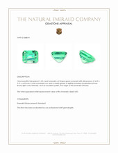 1.03 Ct. Emerald from Russia Appraisal
