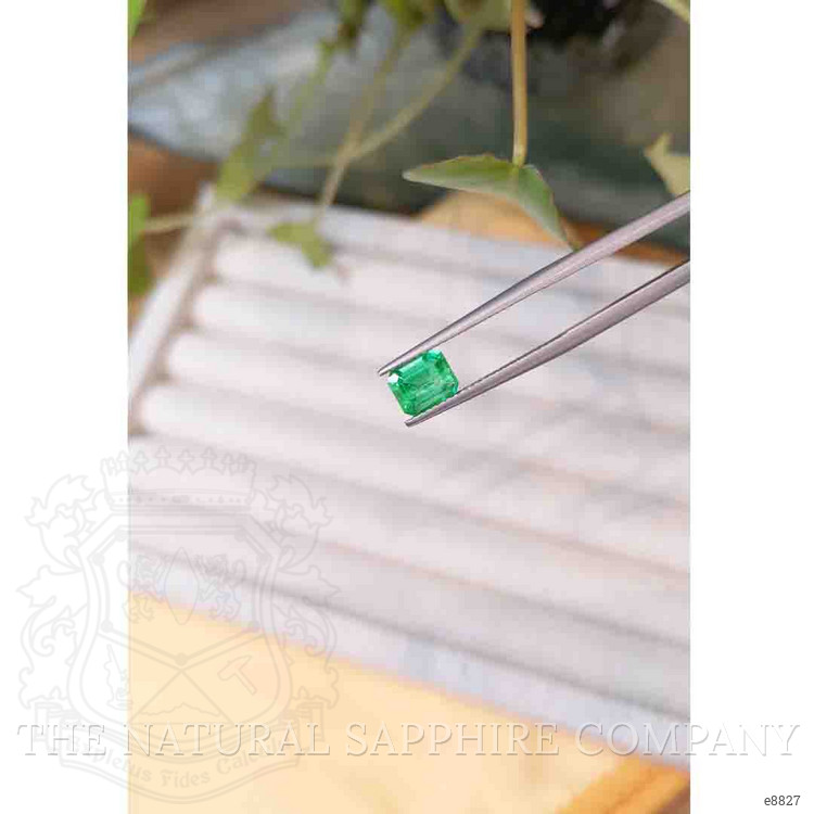 1.02 Ct. Emerald from Afghanistan