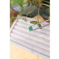 0.72 Ct. Emerald from Afghanistan Life Style