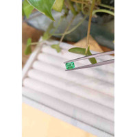 0.68 Ct. Emerald from Afghanistan Life Style