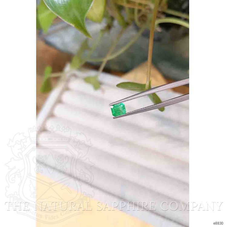 0.55 Ct. Emerald from Afghanistan