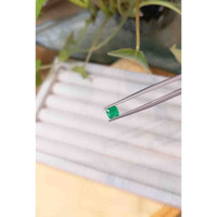 0.50 Ct. Emerald from Afghanistan Life Style