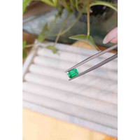 1.18 Ct. Emerald from Afghanistan Life Style