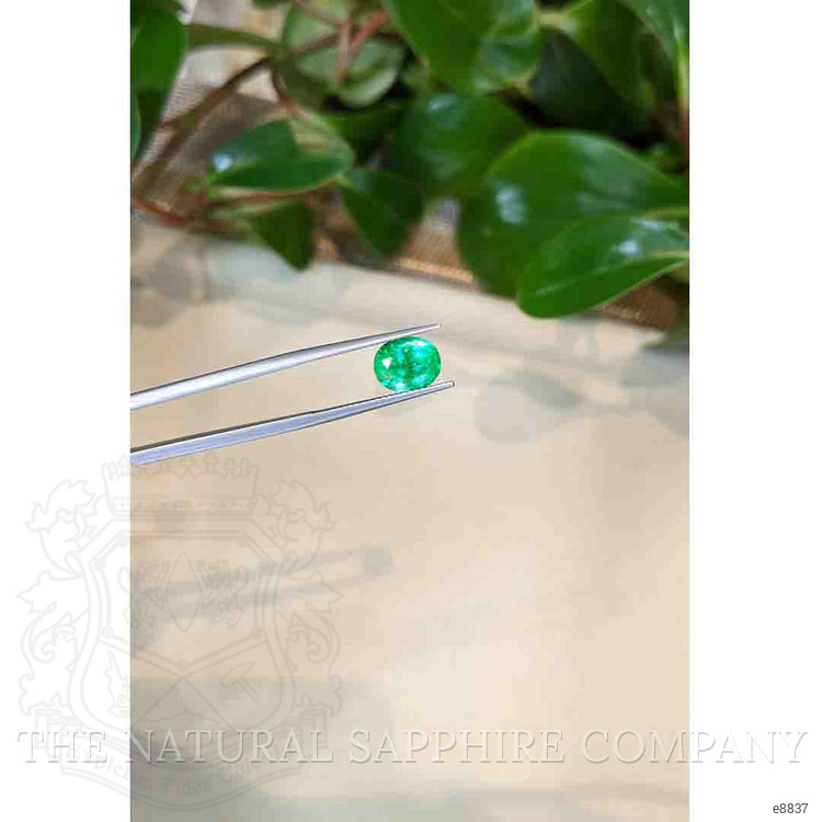 2.69 Ct. Emerald from Afghanistan