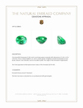 0.48 Ct. Emerald from Afghanistan Appraisal