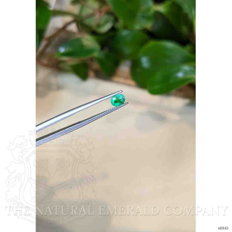 0.48 Ct. Emerald from Afghanistan