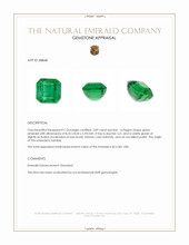 2.89 Ct. Emerald from Zambia Appraisal