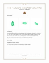 0.51 Ct. Emerald from Russia Appraisal