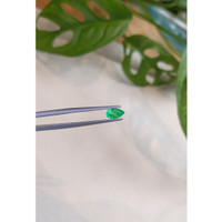 0.51 Ct. Emerald from Russia Life Style