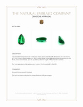 2.69 Ct. Emerald from Zambia Appraisal