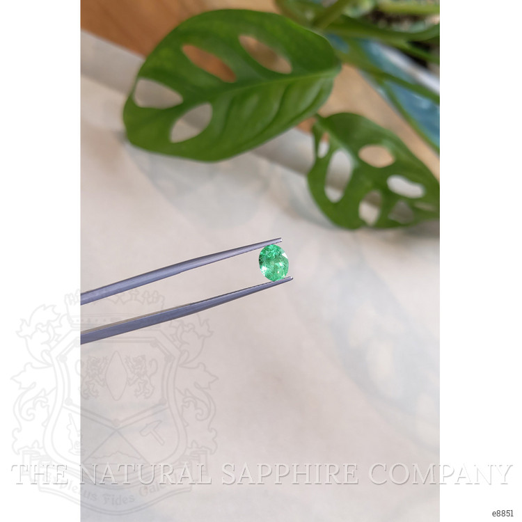 0.89 Ct. Emerald from Russia