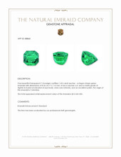 3.45 Ct. Emerald from Colombia Appraisal