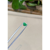 0.65 Ct. Emerald from Colombia Life Style
