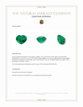 2.23 Ct. Emerald from Colombia - Muzo Appraisal