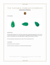 6.41 Ct. Emerald from Colombia Appraisal