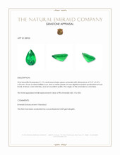 1.12 Ct. Emerald from Colombia Appraisal