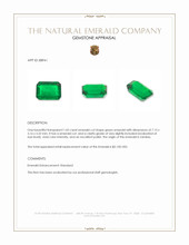 1.05 Ct. Emerald from Zambia Appraisal