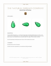 1.11 Ct. Emerald from Zambia Appraisal