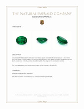 1.04 Ct. Emerald from Zambia Appraisal