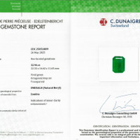 32.96 Ct. Emerald from Zambia Scan Report