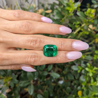 10.55 Ct. Emerald from Zambia Life Style