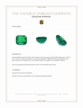 3.80 Ct. Emerald from Zambia Appraisal
