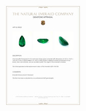 9.18 Ct. Emerald from Zambia Appraisal
