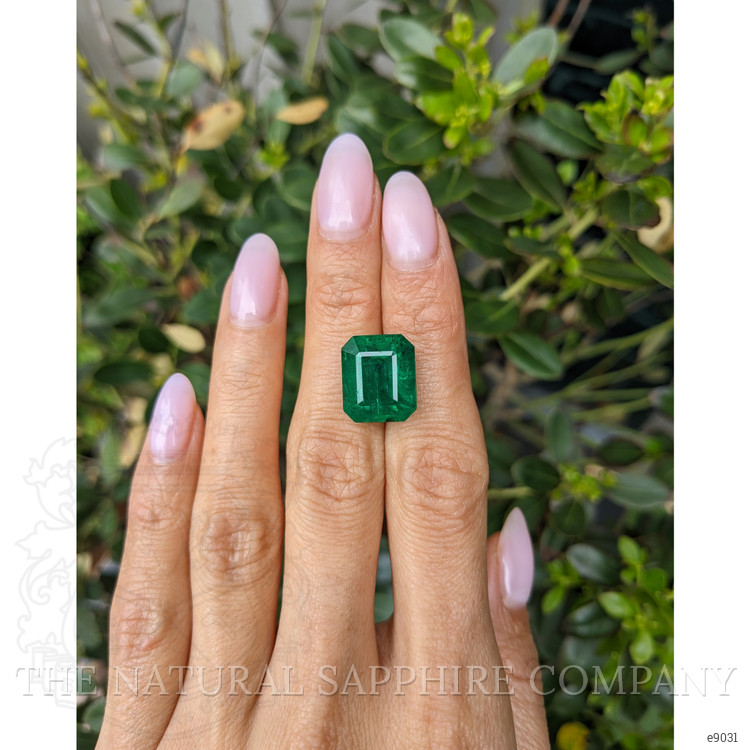11.33 Ct. Emerald from Zambia
