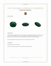 4.00 Ct. Emerald from Zambia Appraisal
