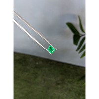 1.77 Ct. Emerald from Russia Life Style