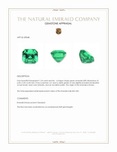 1.24 Ct. Emerald from Russia Appraisal