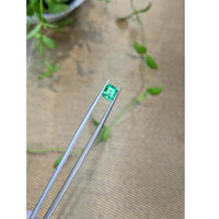 1.24 Ct. Emerald from Russia Life Style