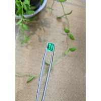 2.50 Ct. Emerald from Russia Life Style