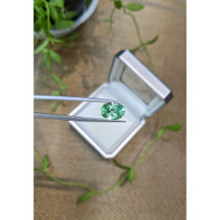 3.27 Ct. Emerald from Russia Life Style