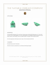 2.94 Ct. Emerald from Russia Appraisal