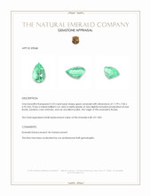 3.23 Ct. Emerald from Russia Appraisal