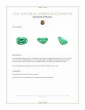 3.76 Ct. Emerald from Russia Appraisal