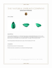 1.17 Ct. Emerald from Russia Appraisal