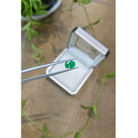 1.08 Ct. Emerald from Russia Life Style
