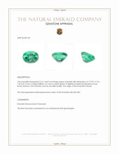 5.61 Ct. Emerald from Russia Appraisal